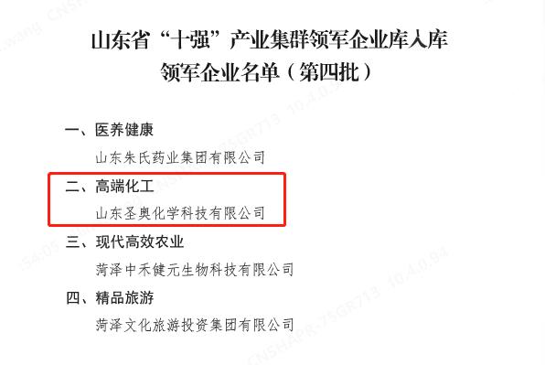 Sennics Shandong made the list of leading enterprises in the top 10 industrial clusters in Shandong.